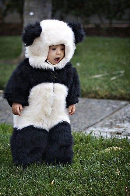 cute-panda-boy.jpg
